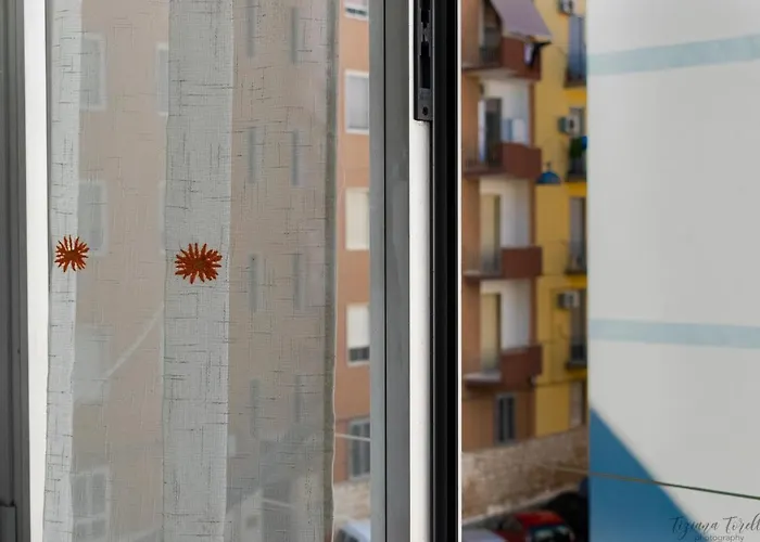 게스트하우스 아르키타